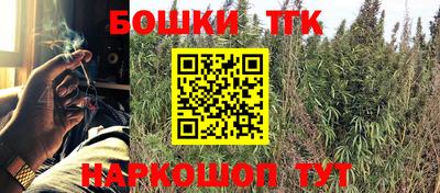 крисы Белореченск