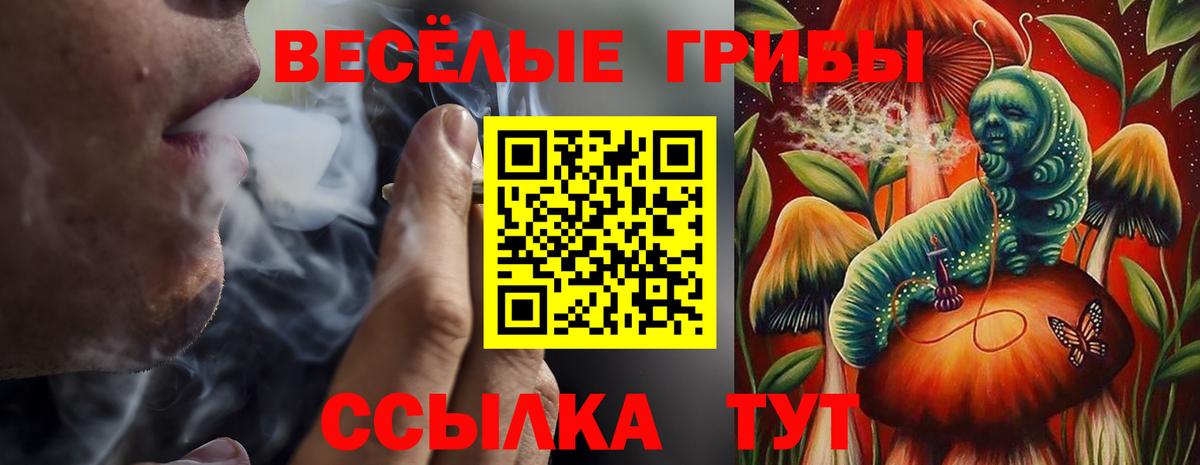 Великий Устюг  Галлюциногенные грибы Cubensis  даркнет сайт  Вход с VPN 